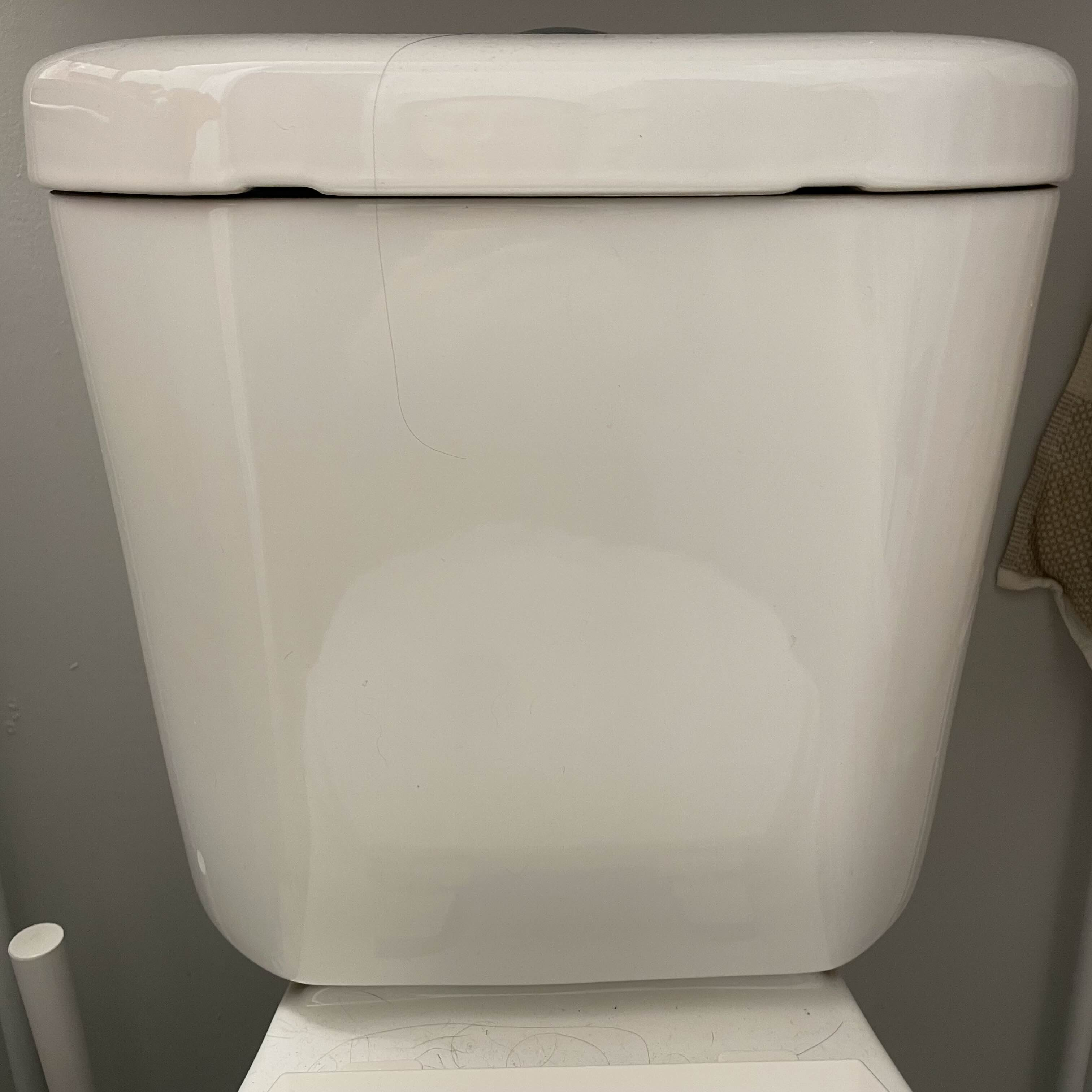 The toilet (top)