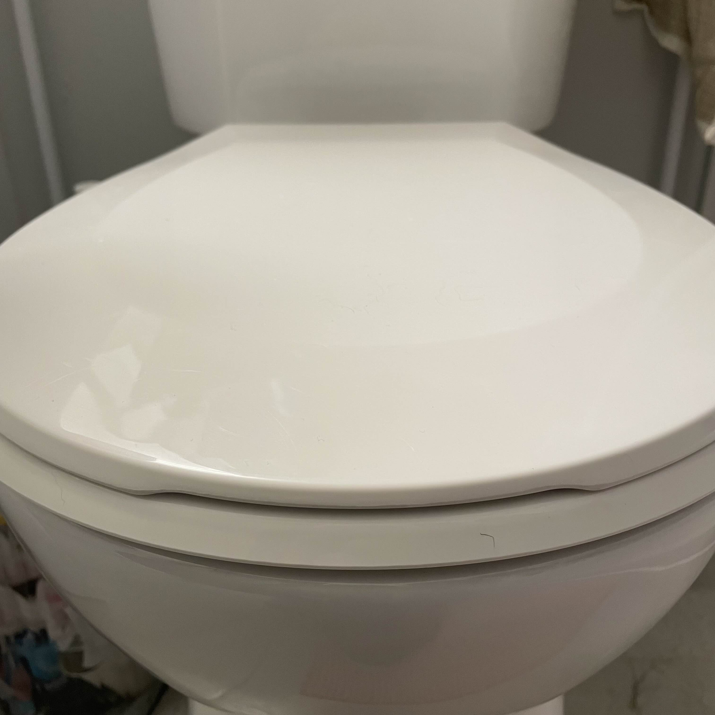 The toilet (lid)