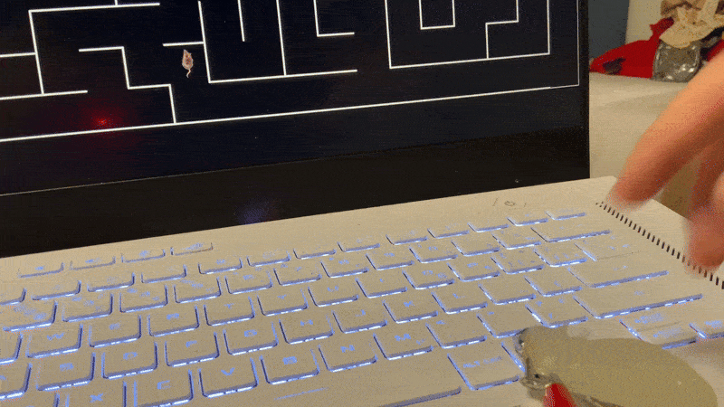 Using the makeymakey physical rat to control a digital rat.